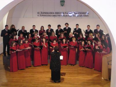 Najbolji_zbor_u_Zupaniji.JPG