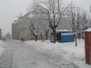 Uspjesna_ili_zametena_2006..JPG