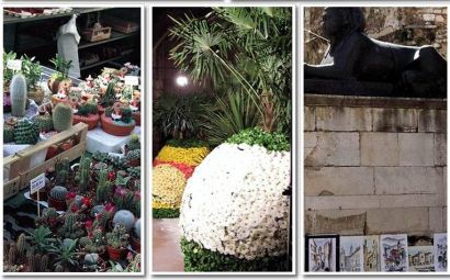 Izlozbe_cvitnih_aranzmana_za_sv._Duju.jpg Izlozbe_cvitnih_aranzmana_za_sv._Duju.jpg