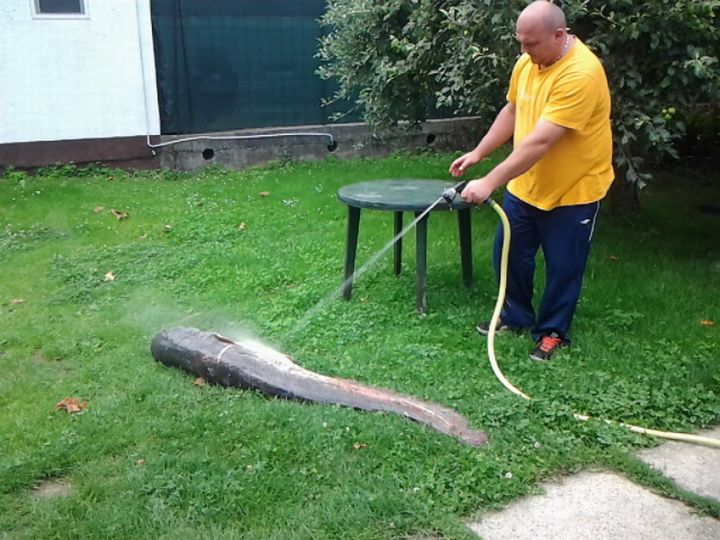 Miljenko_Galas_som_40kg_b