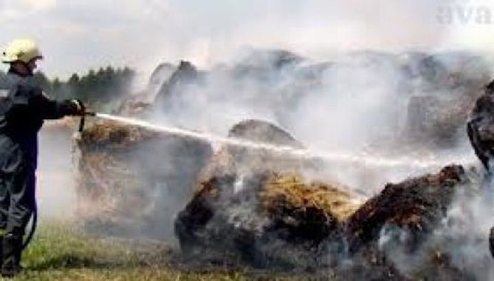 201308121435290.pozar sijena