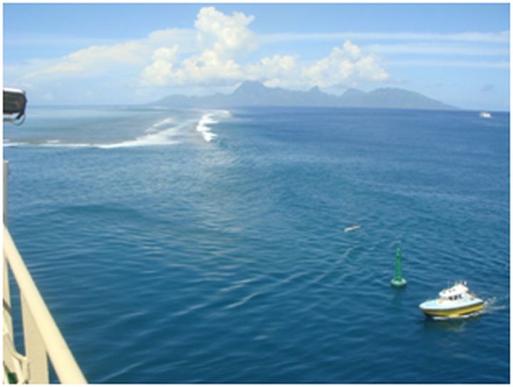 Antun_Gold_Putositnice_nasega_doba_Pinklecfest_2013_2