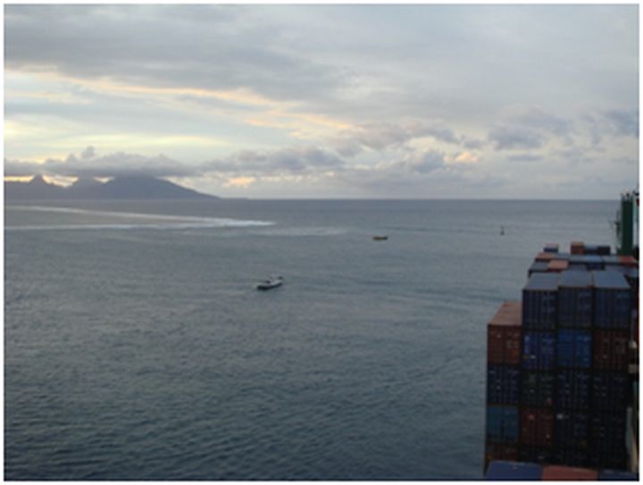 Antun_Gold_Putositnice_nasega_doba_Pinklecfest_2013_3