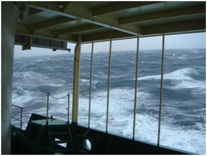 Antun_Gold_Putositnice_nasega_doba_Pinklecfest_2013_6