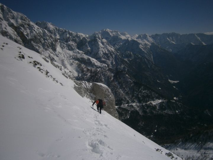 ??????????????????????