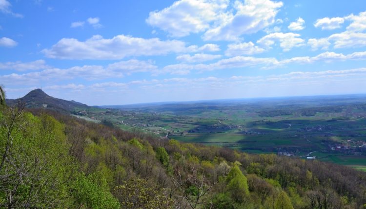 Pinklecfest_2012_Kalnik_3