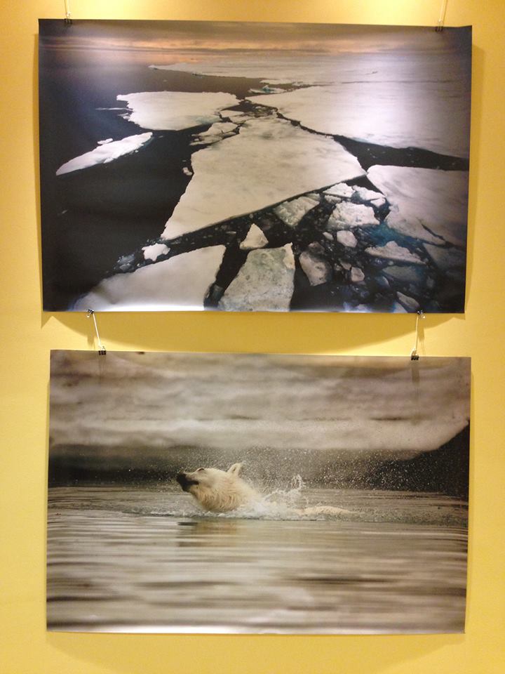 Refleksije_s_Arktika_Luka_Tomac_Pinklecfest_Krizevci