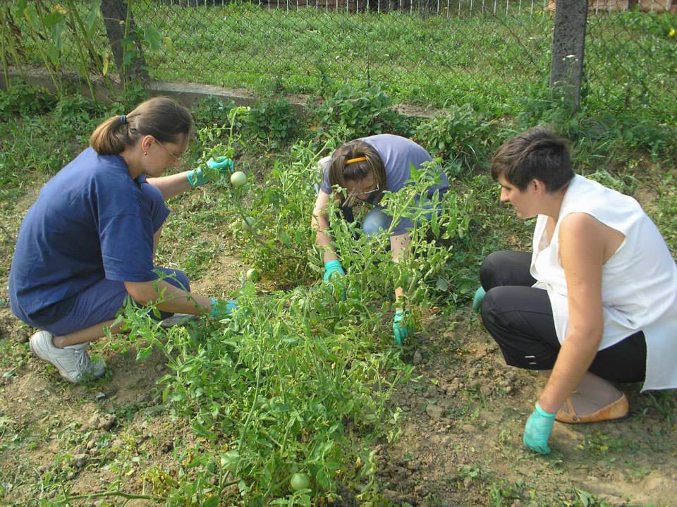 Tamara_Premus_vrt_okucnica