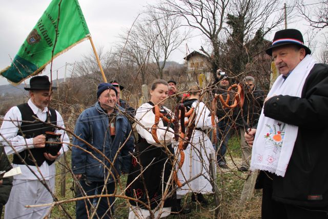 1_županijsko_Vincekovo_Kalniku_2011_by_Marcel_Kovacic