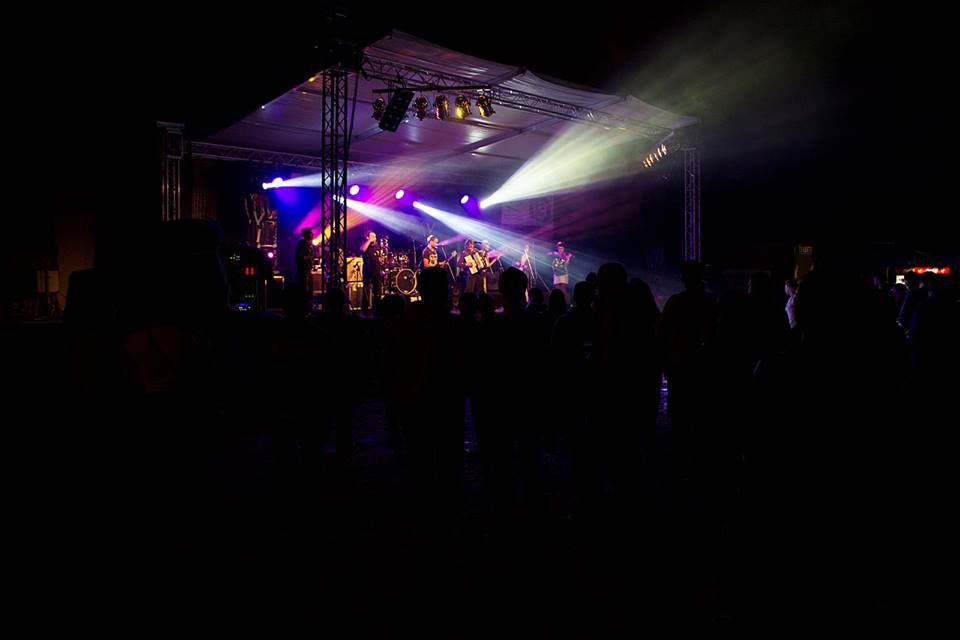 drvored_skaville_2014_festival