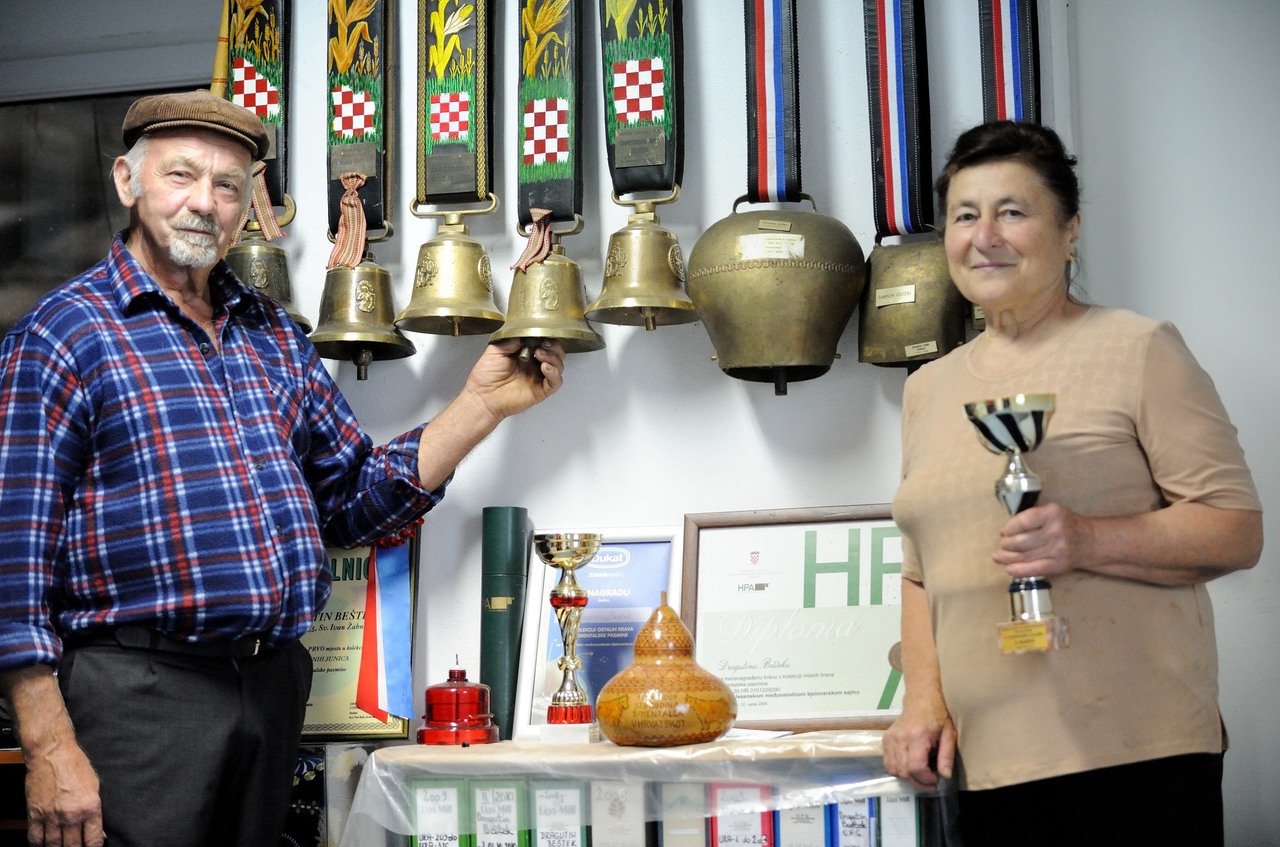 c01fd217d44c3503ee5461836044a4cb_Alen_Bestek_Kustani_Sveti_Ivan_Zabno_OPG_krave