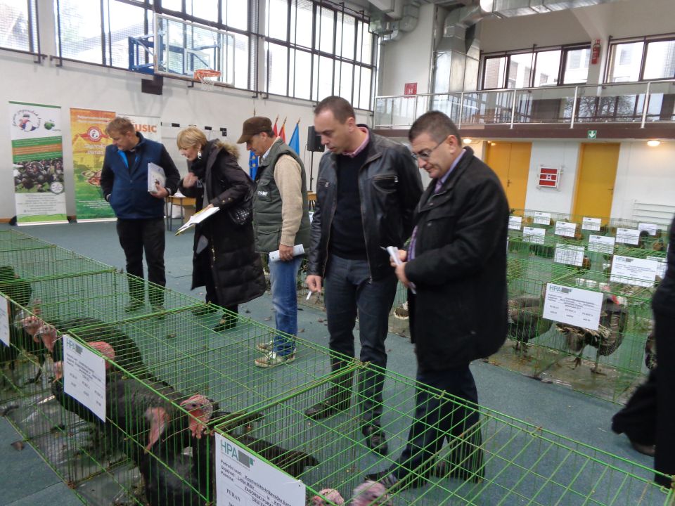 Klanjec_01_izlozba_pasmine_perad_HPA