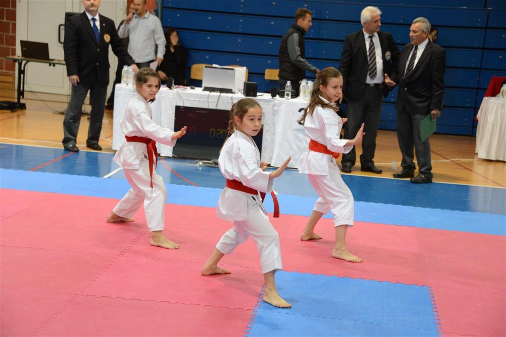 KŽopen 20142_karate_KTC_turnir