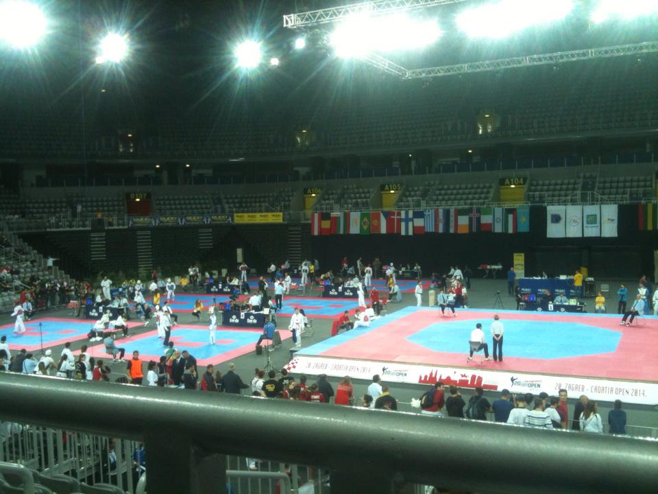 taekwondo_croatian_open_2014_fabijan_brcic_0