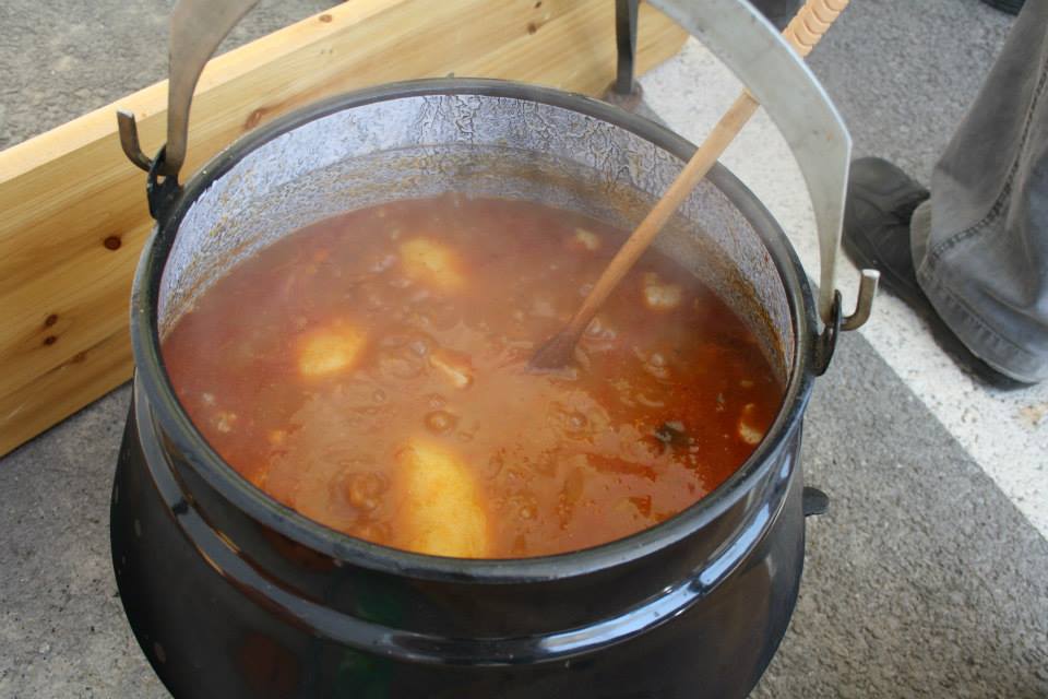 11081492_795554070538818_1003201610490218148_n_cobanac_restoran_prigorski_dvori-humanitarna_akcija_socijalna-samoposluga