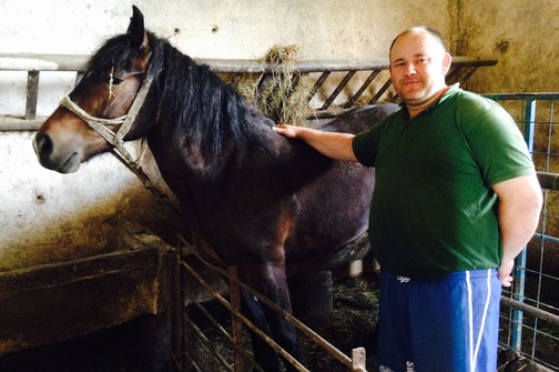 Sudar pokraj Križevaca: Pijani jahač i kobila na krovu Golfa