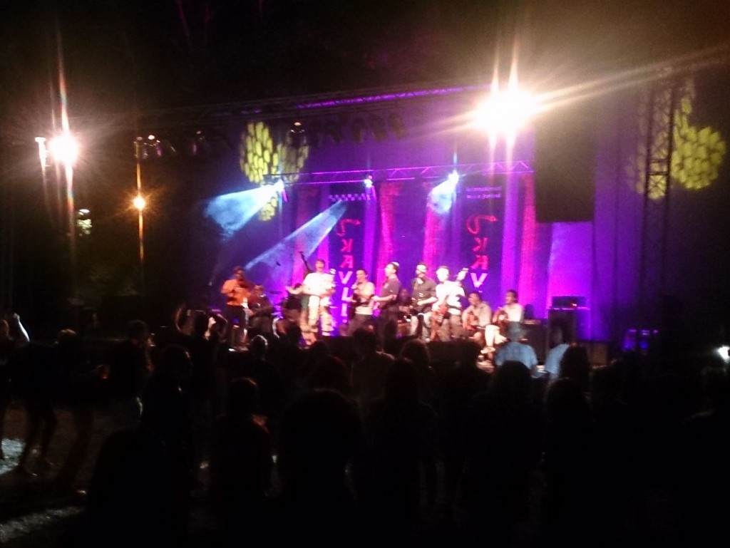 Skaville_Festival_2015_JeboTon_Ansambl_publika