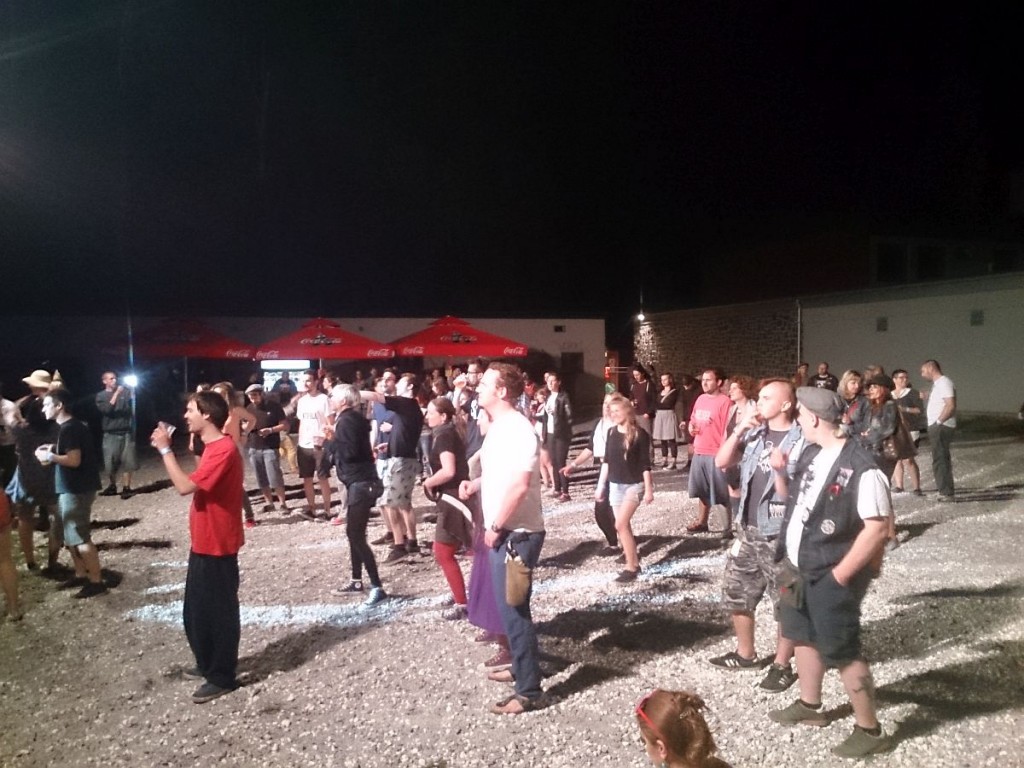 Skaville_Festival_2015_publika_petak