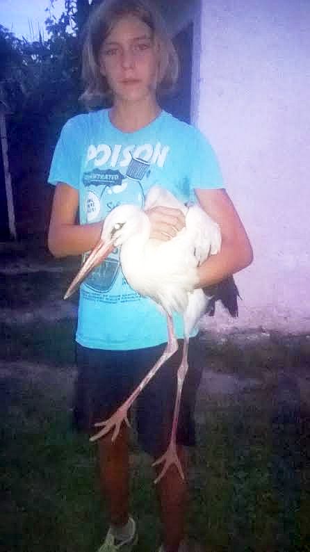 spasavanje_roda_vinarec_2