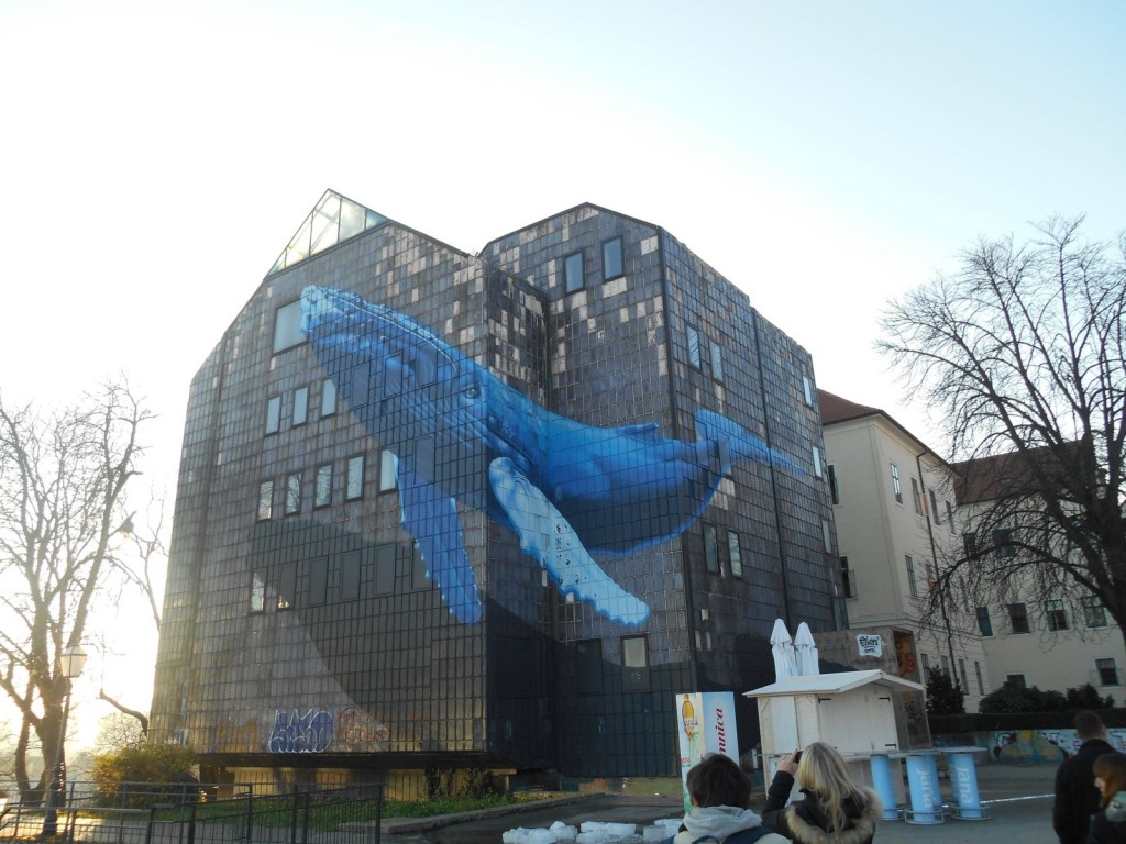 DSCN4216_udruga_Maslacak_Advent_Zagreb