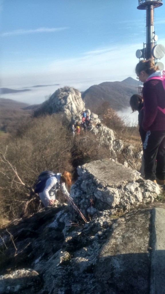 DSC_0048(1)_mali_planinari_Kalnik