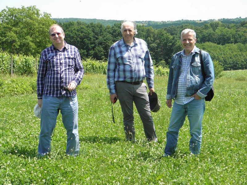 Voditelji Hrvatske meteorske mreže na mjestu pada i pronalaženja meteorita Križevci, 18. lipnja 2015.: Željko Andreić, Korado Korlević, Damir Šegon (foto: R.Matić)