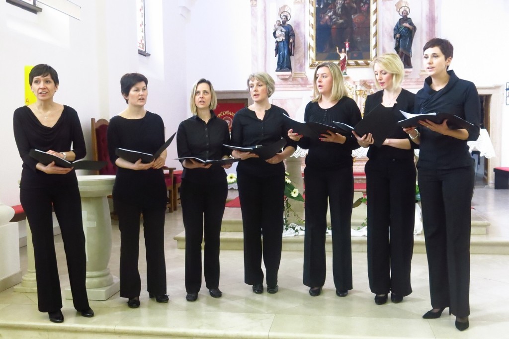 007 VS Allegro Dr. Stjepan Kranjčić