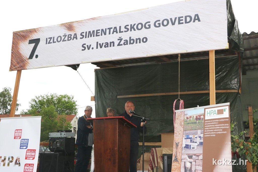 IMG_8451m izlozba simentalsko govedo Zabno