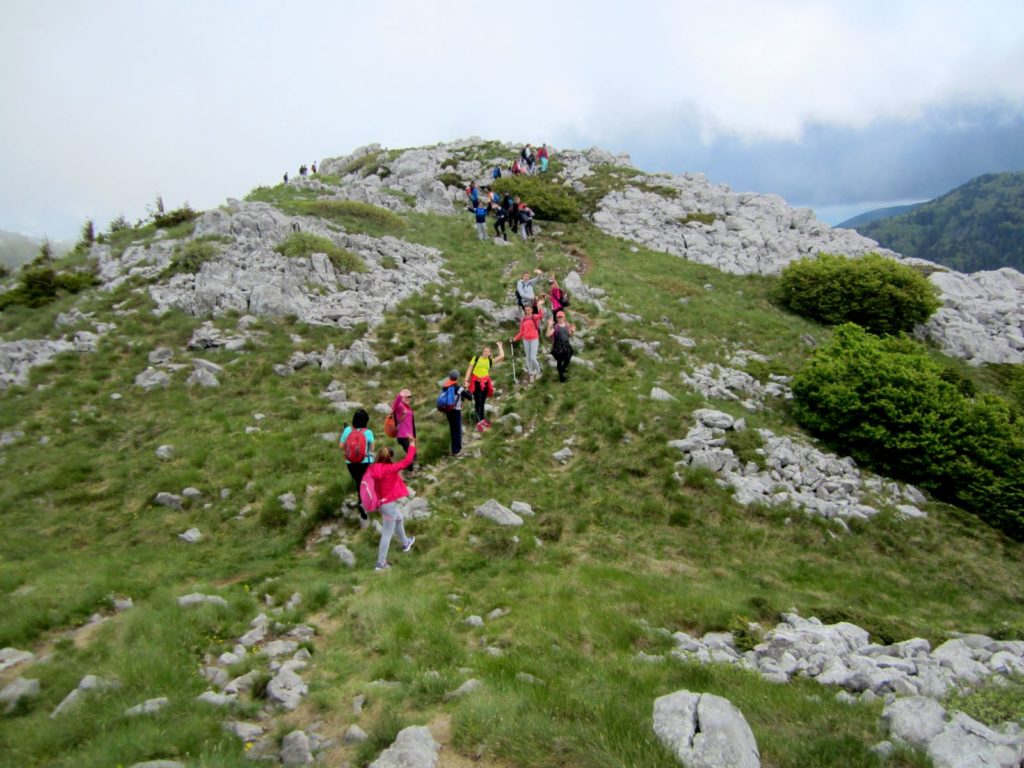 IMG_9111_vuzleki_velebit_planinarsko_drustvo_kalnik