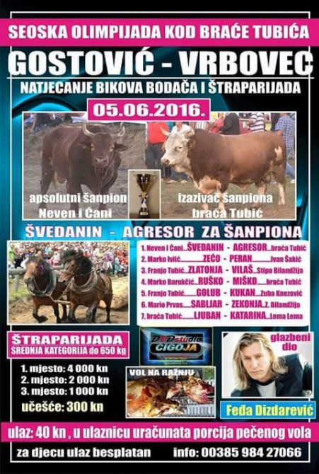 Nabijanje na rogove - Plakat Gostović - vrbovec