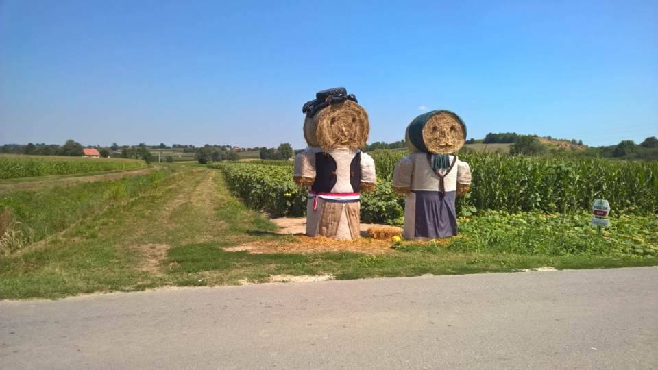 13933222_10154278059627221_428912103_n_Dudek_Regica_Kalnik_bale_slama_Guscerovec