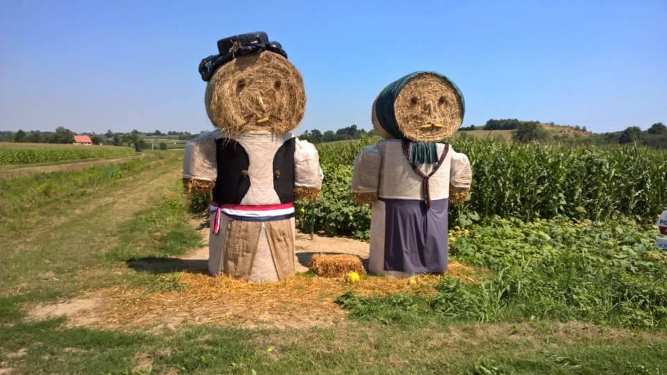 13933470_10154278059547221_1567162921_n_Dudek_Regica_Kalnik_bale_slama_Guscerovec