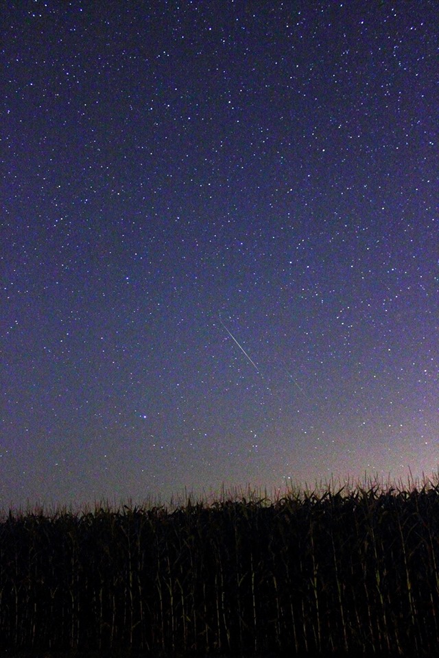 Promatranje Perzeida u noći između 11. i 12. kolovoza na polju pored Križevaca (foto: Martin Vujić)