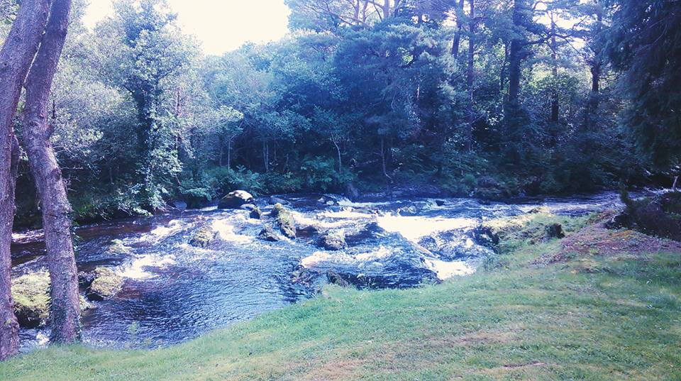 13882473_10208850383089850_6673924512066874147_n_boro_kopanja_posao_irska_kenmare