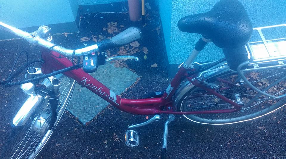 14908350_10209688952293556_6764955711793613392_n_boro_kopanja_posao_irska_kenmare