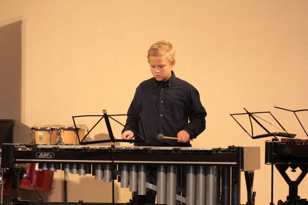 14918947_1420694874615148_4787592933376972761_o_veceri_udaraljkasa_krizevci_2016_vuk