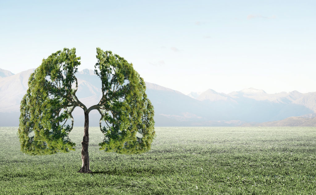 hkd_03-humanitarna-akcija-otkrij-na-vrijeme-karcinom-pusenje