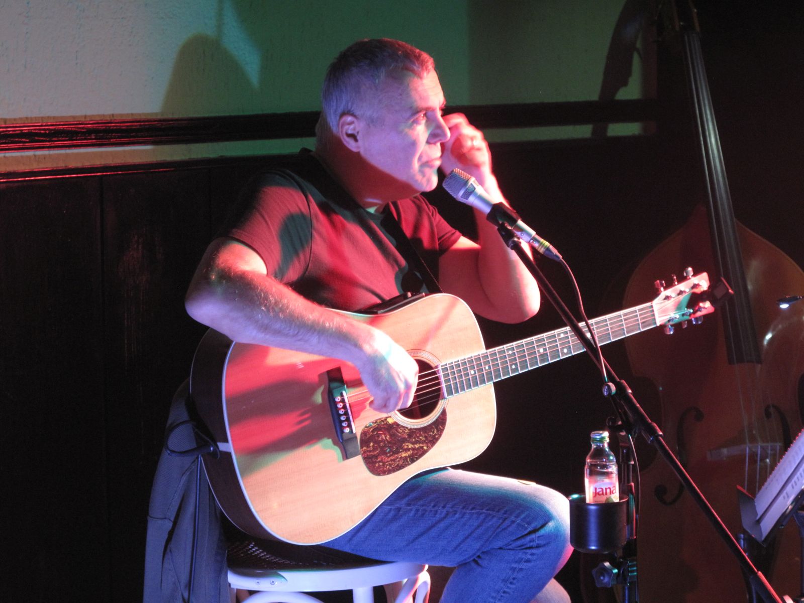 img_7447_zoran_predin_koncert_soul_cafe_2016