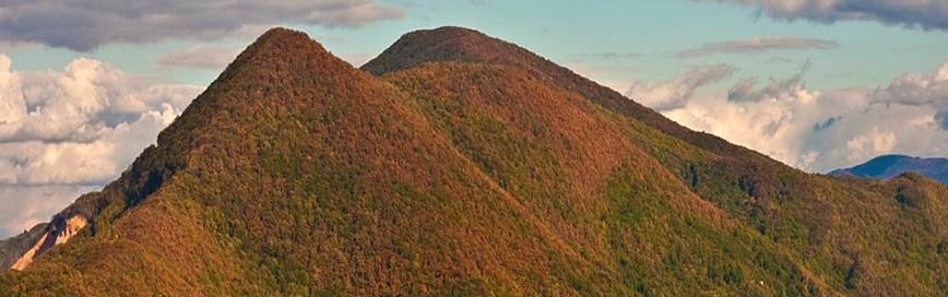 ilustracija-za-strahinjcicu