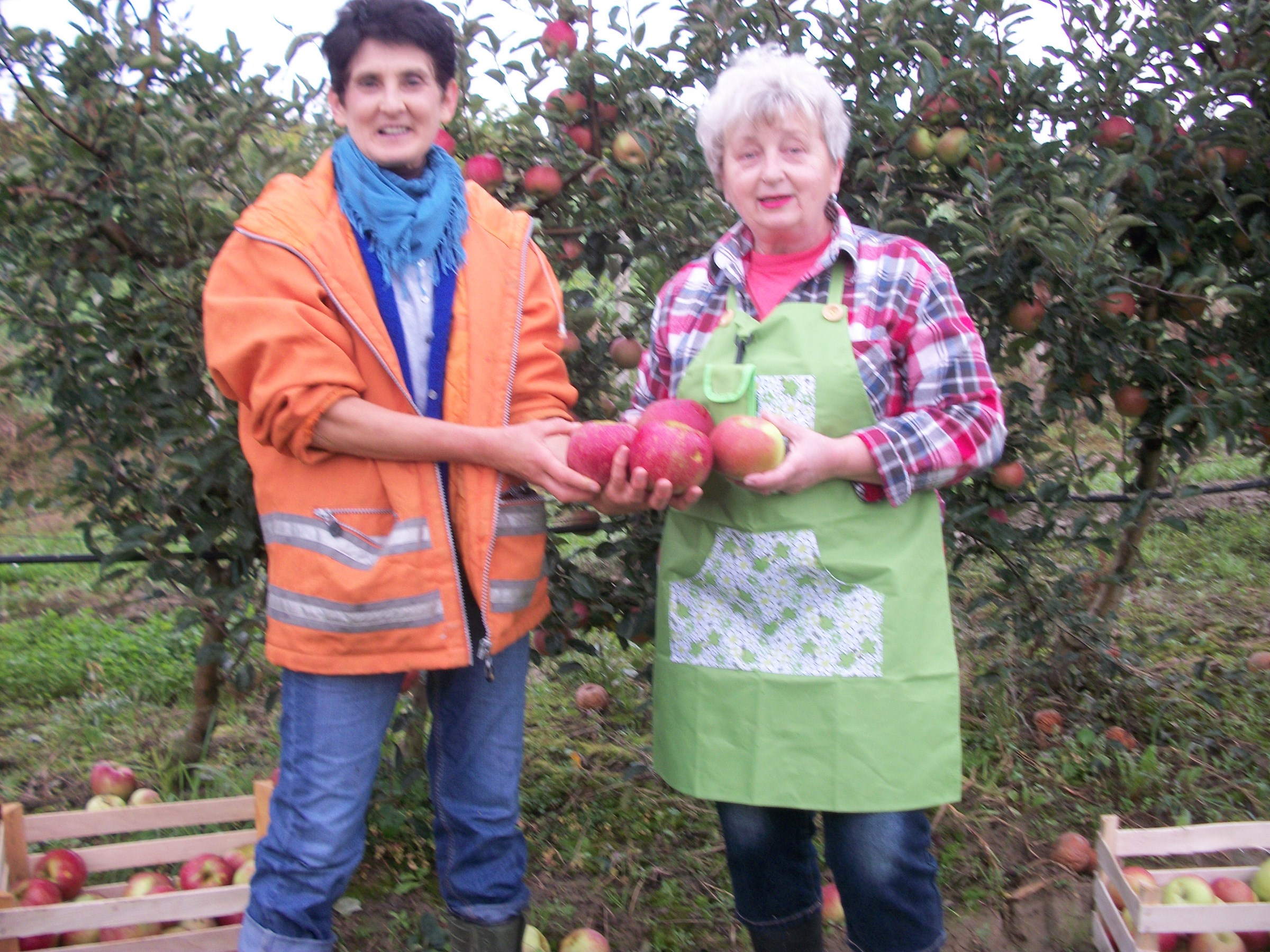 dg-nada-domitrovic-1_dobrotvorka_godina_zamah_2016