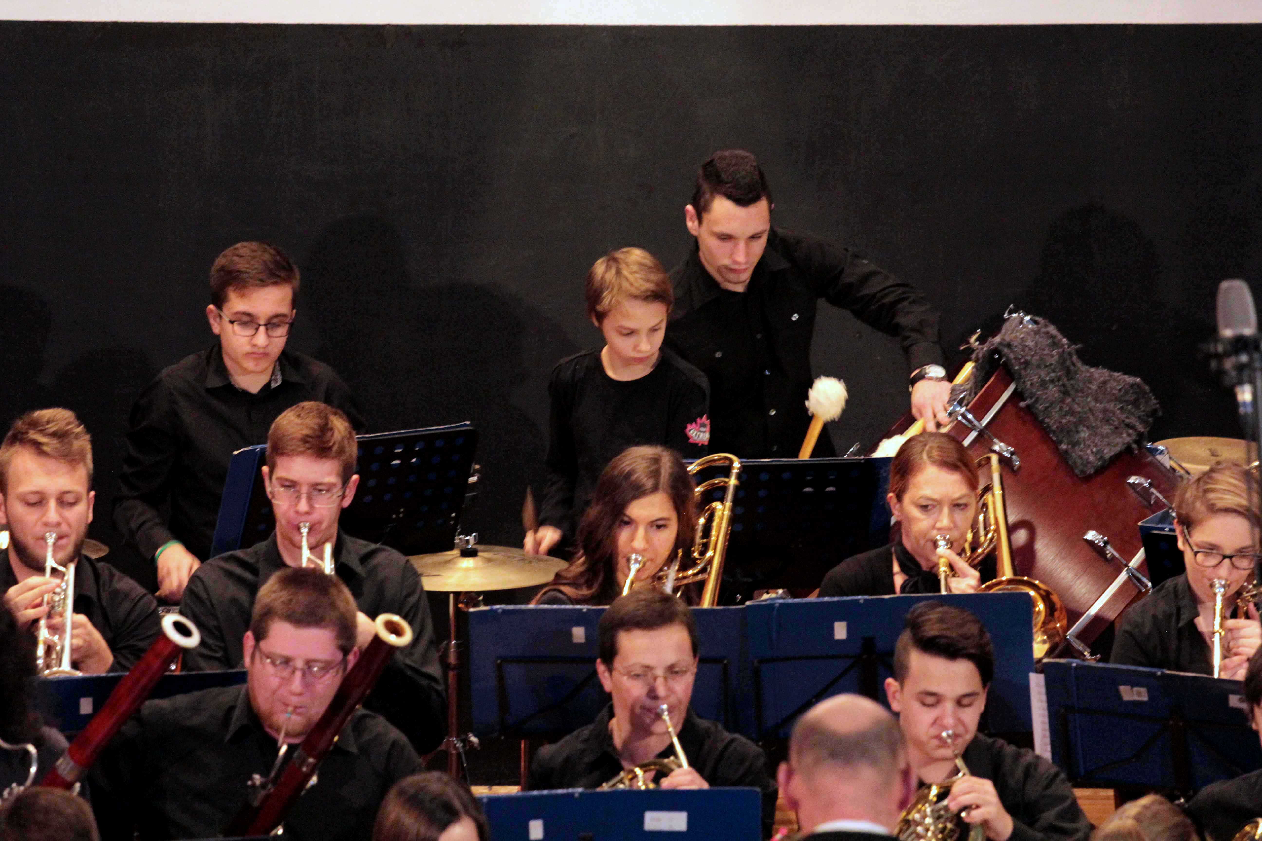 5-godisnji-koncert-puhacki-orkestar-2016-by-milan-mimi-petic