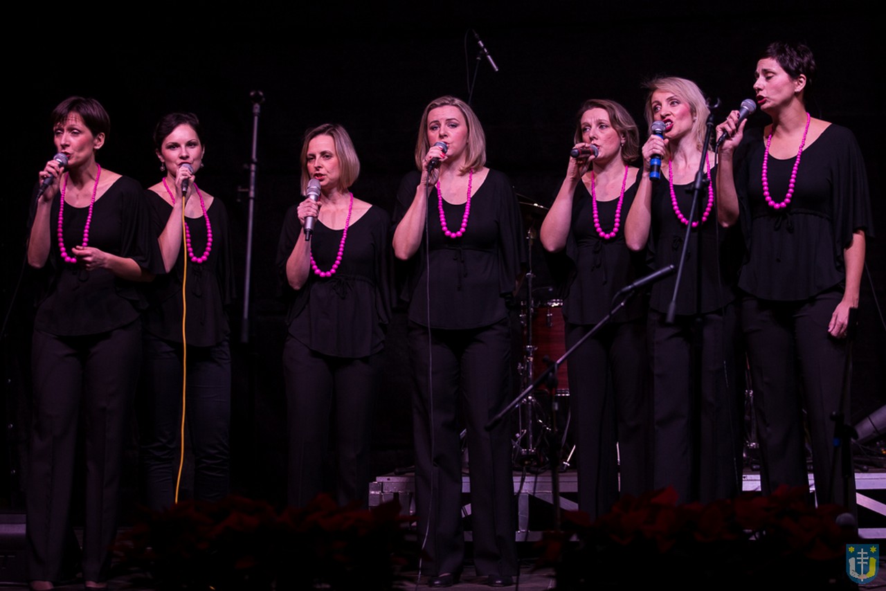 img_4881_udruga_maslacak_koncert_humanitarni_pjevajmo_zajedno_2016