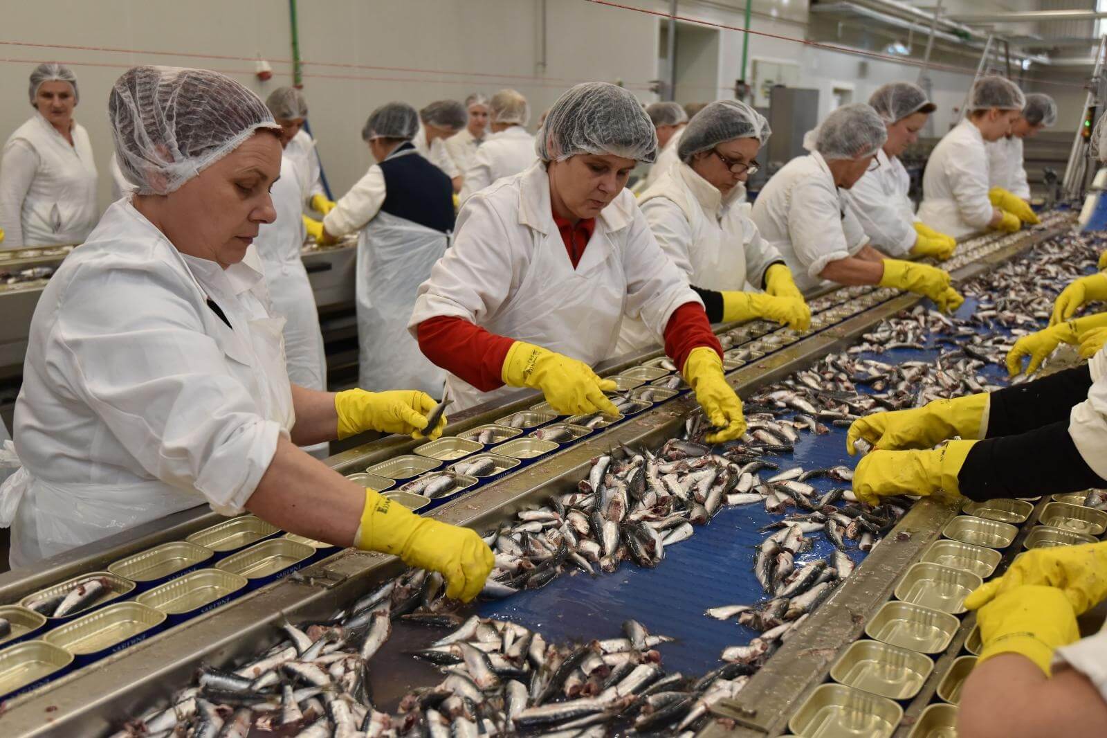 Podravka zaprimila više od 300 prijava za rad u Mirni Rovinj, javni poziv i dalje otvoren