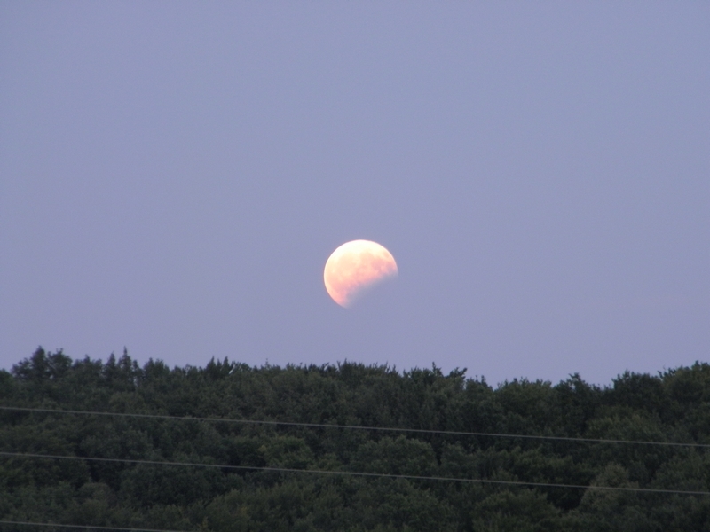 Djelomična pomrčna Mjeseca iznad Ratarske šume 7. kolovoza 2017. (foto R.Matić)